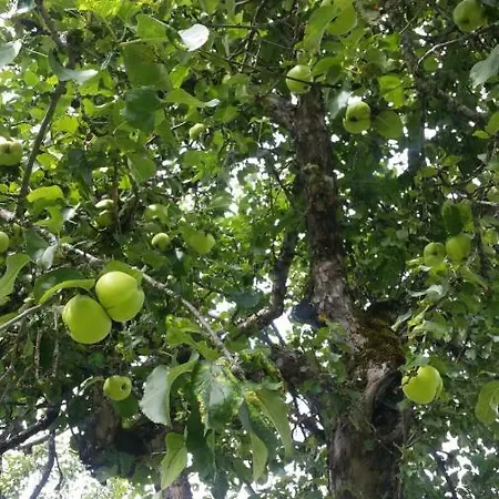 Landl Vorberg Tatil Evi Ramsau am Dachstein
